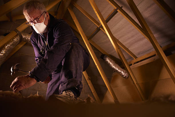 Best Eco-Friendly Insulation in Cherokee Village, AR
